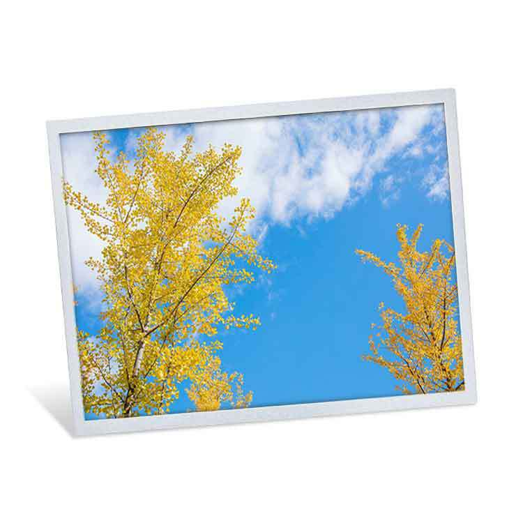 1640151532316004.png 圖片1.png